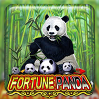 Fortune Panda