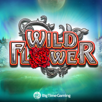 Slots Online BigTimeGaming - Wild Flower