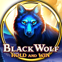 Black Wolf