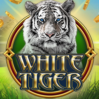 White Tiger