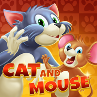 Cat and Mouse