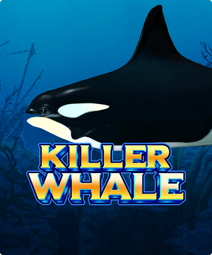 Killer Whale