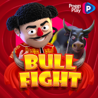 Bull Fight