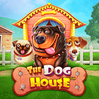 Slots Online PragmaticPlay - The Dog House