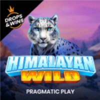 Slots Online PragmaticPlay - Himalayan Wild