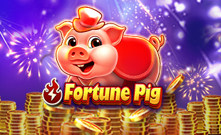 FortunePig