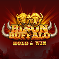 Bison vs Buffalo