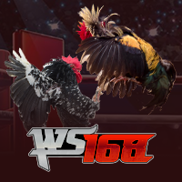 WS168 Cockfighting