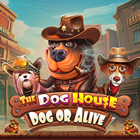 Slots Online PragmaticPlay - The Dog House – Dog or Alive