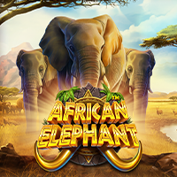 Slots Online PragmaticPlay - African Elephant™